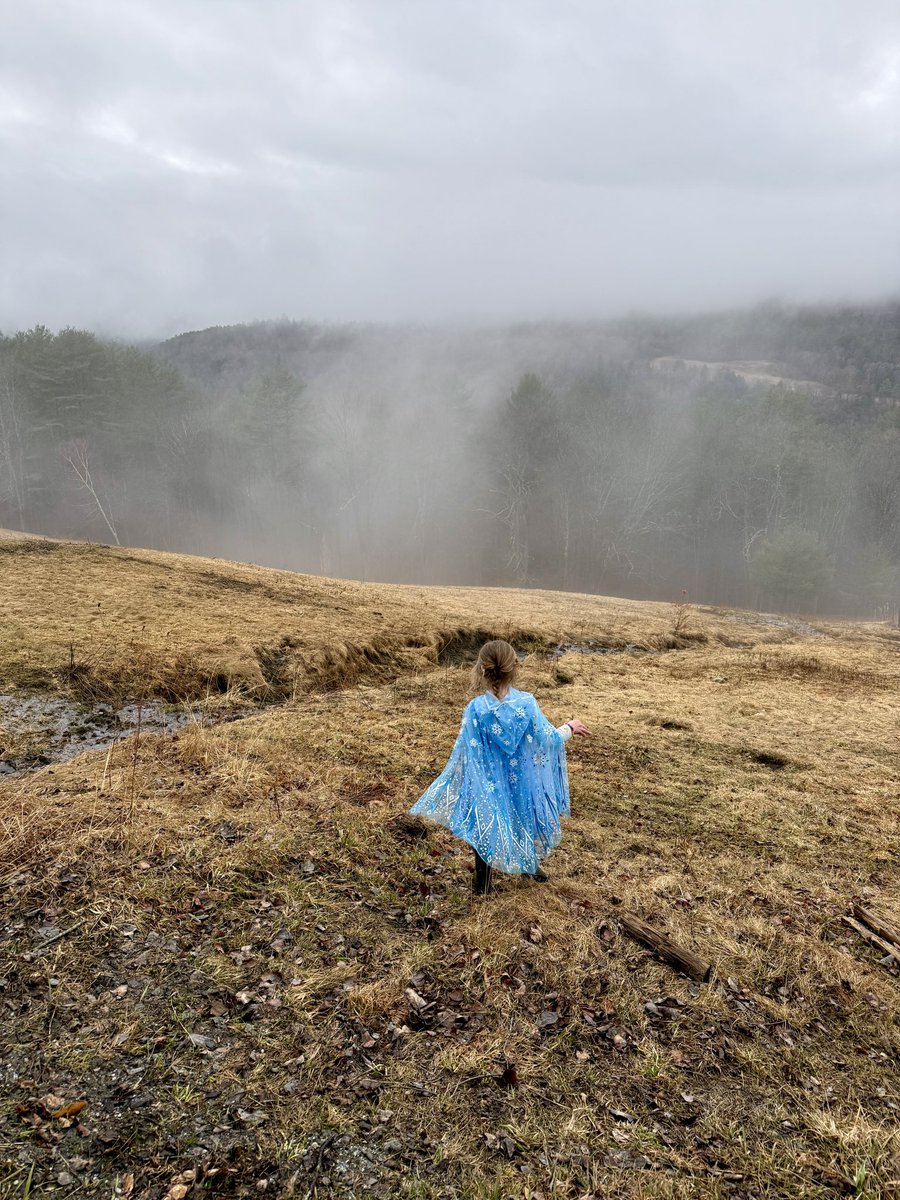 Lady Hollow Tree tweet media