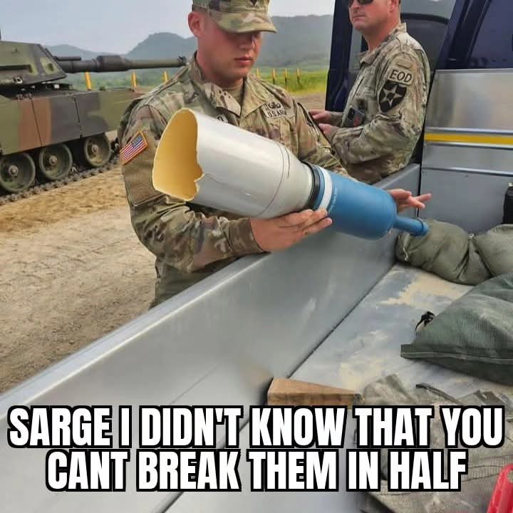 (늙고병든)독거한량 tweet media