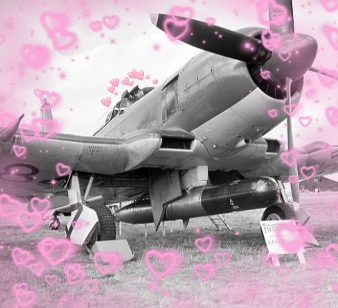 Blackburn Firebrand official fanpage tweet media