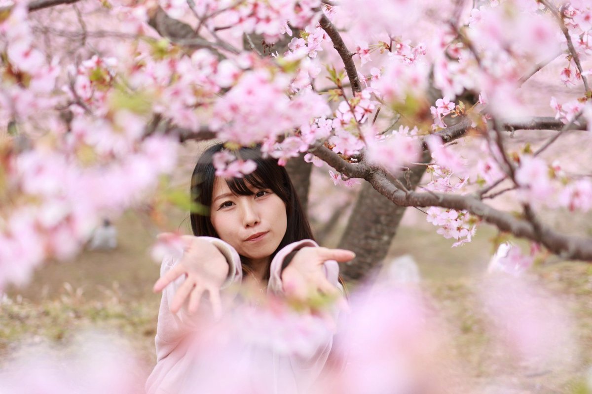 たぁふ　5/9～5/10D1GPrd1rd2愛知スカイエキスポ tweet media