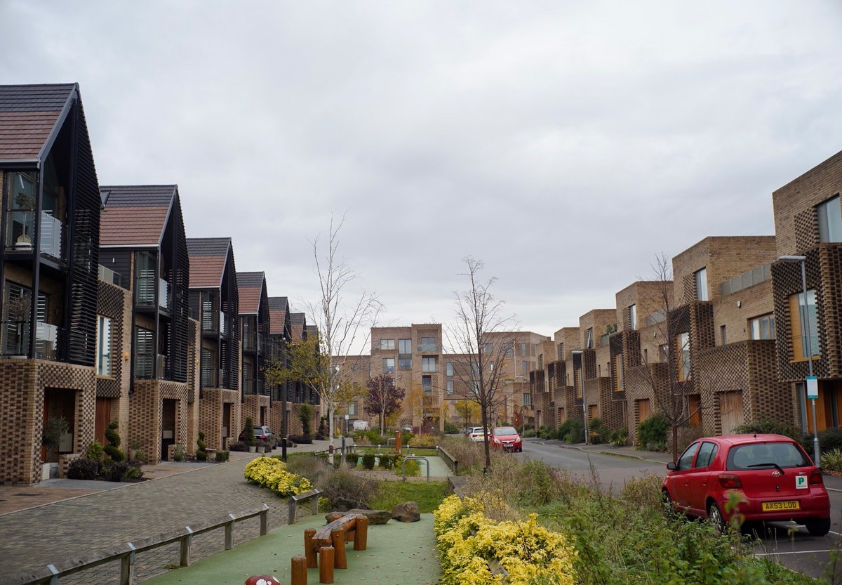 berthoppe tweet media