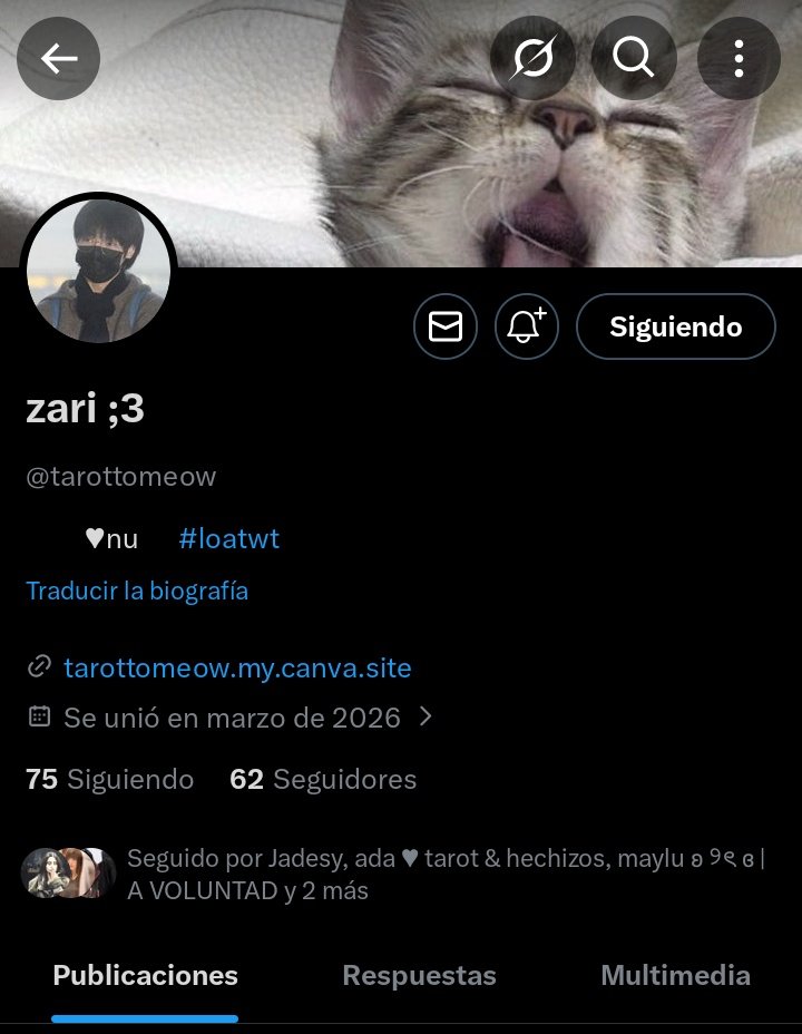 mont ★ tweet media