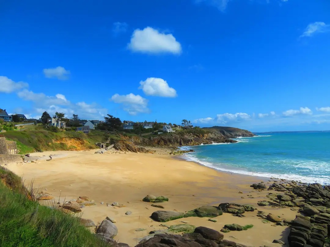 alexandra red tweet media