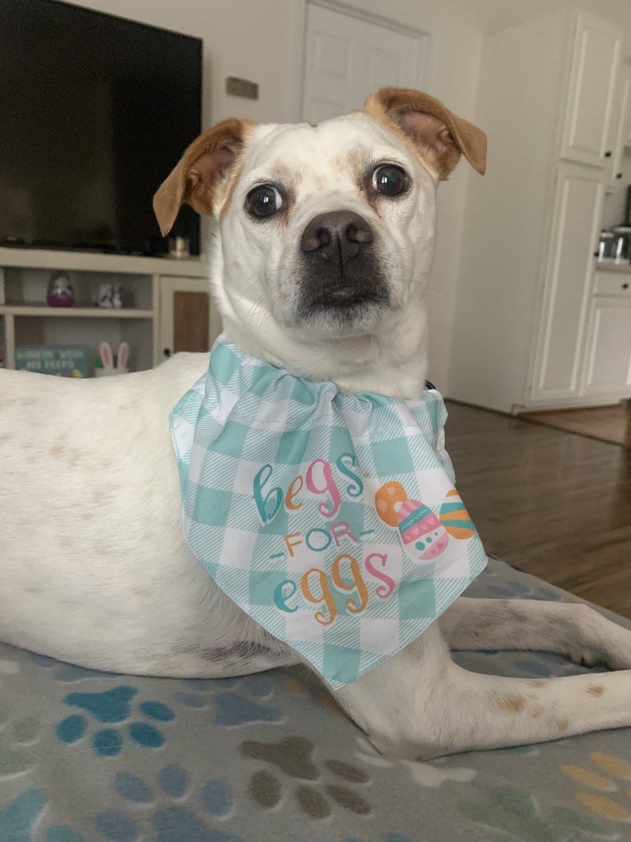 brooke ❤️‍🔥 tweet media