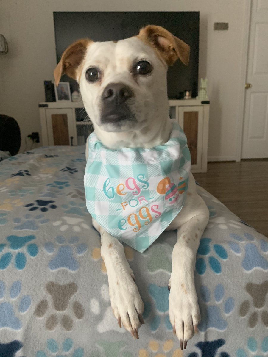 brooke ❤️‍🔥 tweet media