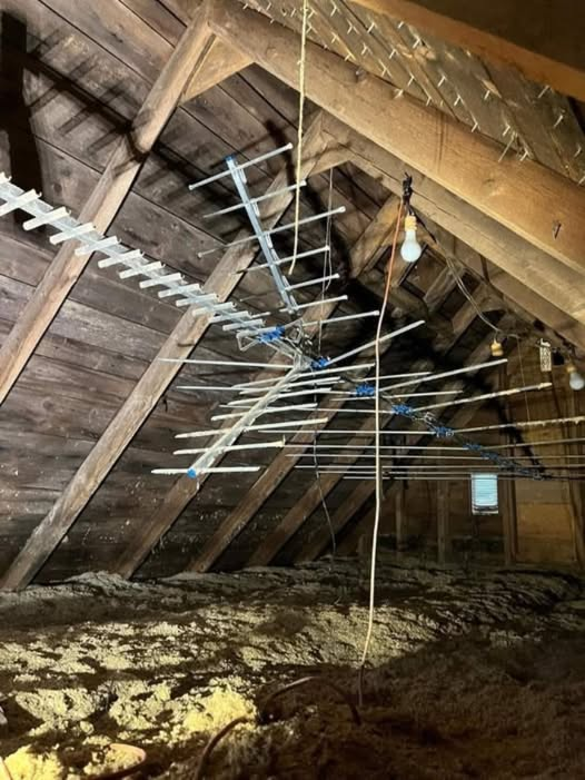 Kai Ruhsert 🇮🇱 🇺🇦 tweet media