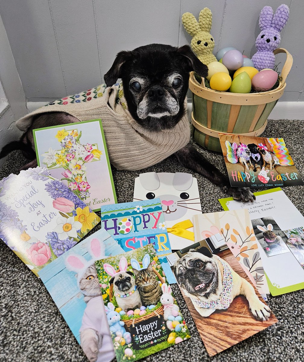 Mister Pemberton tweet media