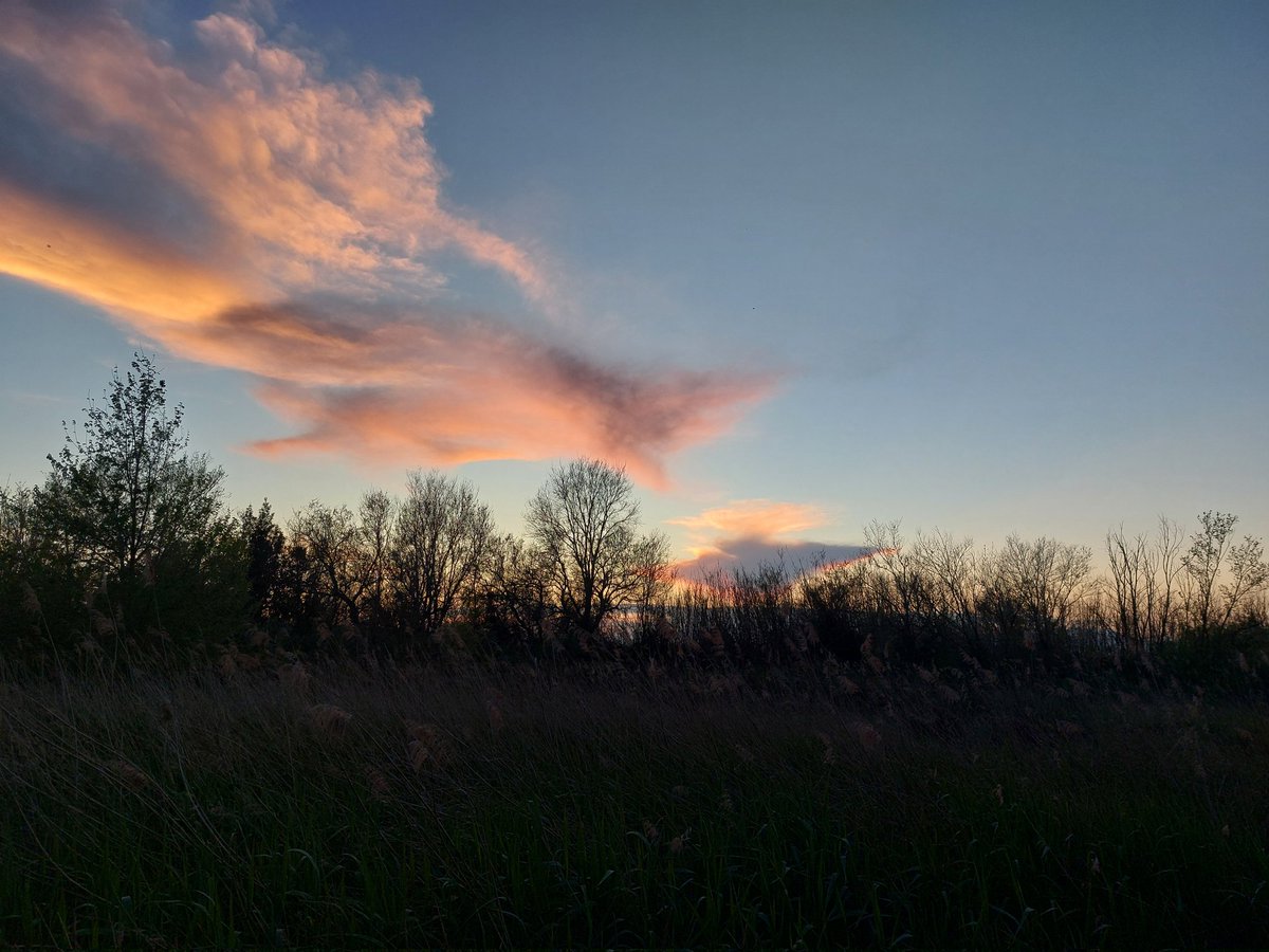 romanat77's tweet photo. Última posta de sol! https://t.co/DX7lvwctk2