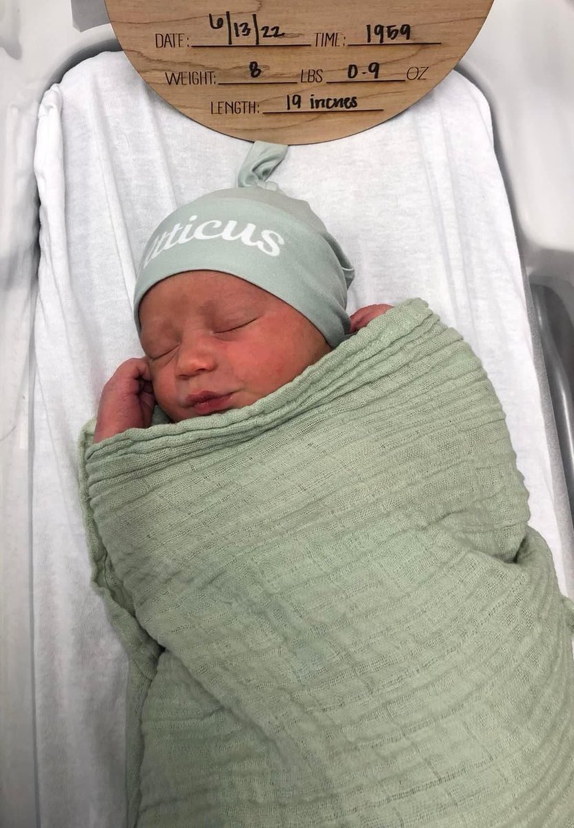 judge33 🪭 tweet media