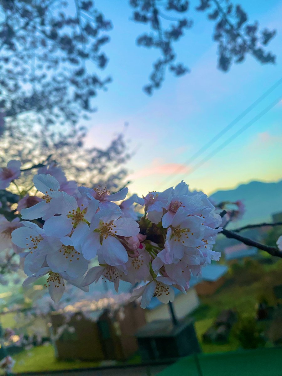 yt📦 🐾 tweet media