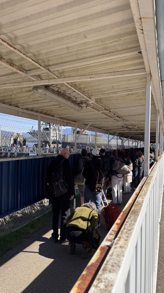 Caroline Elliott tweet media