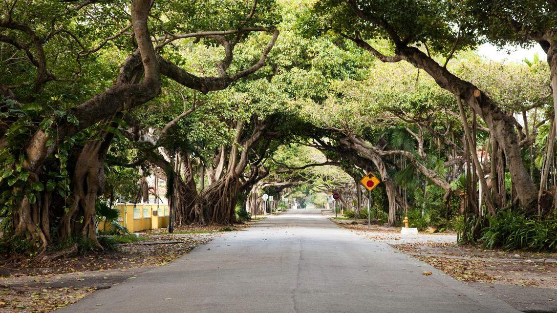 champ 💫 tweet media