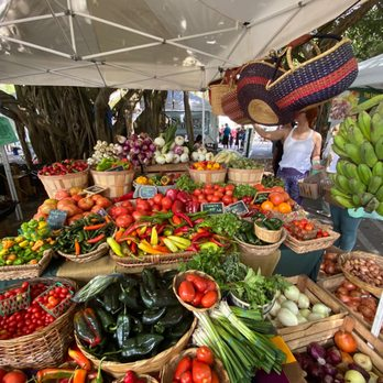 champ 💫 tweet media