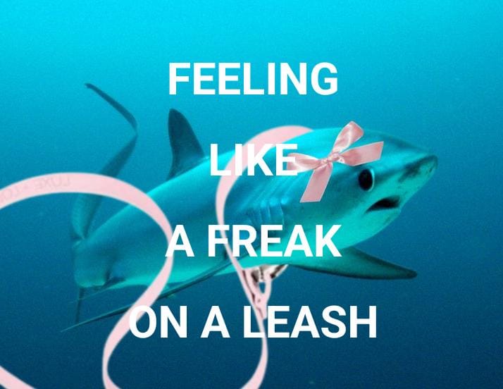 lara raj ๋࣭ ⭑♡ tweet media