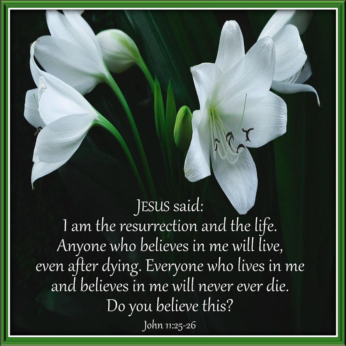 What a glorious promise! Because Christ our Lord rose from the dead, so will we! One day we will enjoy eternal life in heaven—with Him! Believe it! Believe it all!