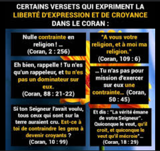 בן אדם tweet media