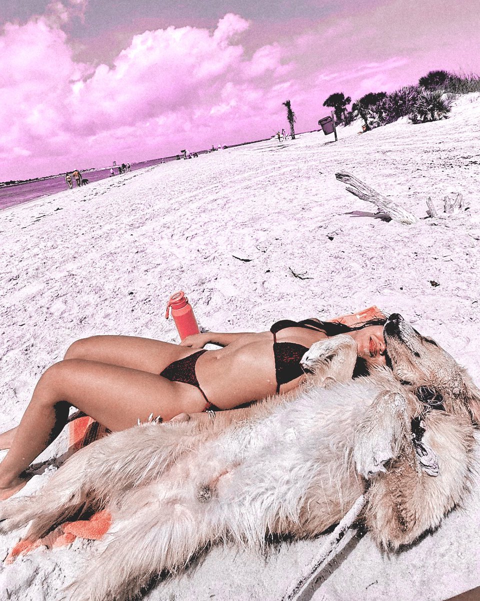 𝐬𝐭★𝐫𝐠𝐢𝐫𝐥 ⋆˙⟡♡ tweet media