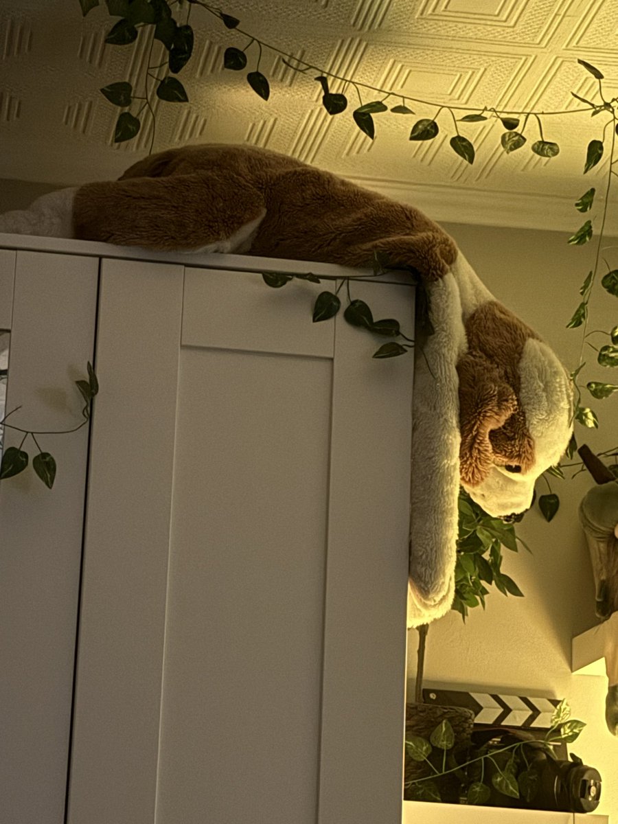 meli ᖭི༏ᖫྀ ꩜ tweet media