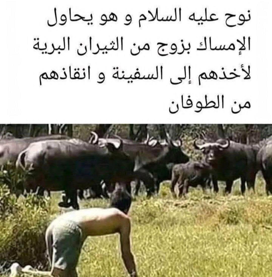 عـدنان⚛ tweet media