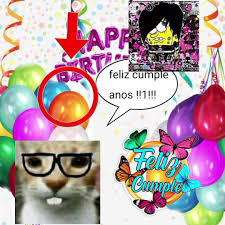 ‍‍ ‍‍‍ ‍‍ ‍ ‍‍ ‍‍‍ ‍‍ ‍ 𝓬 ⋆𓃉 tweet media