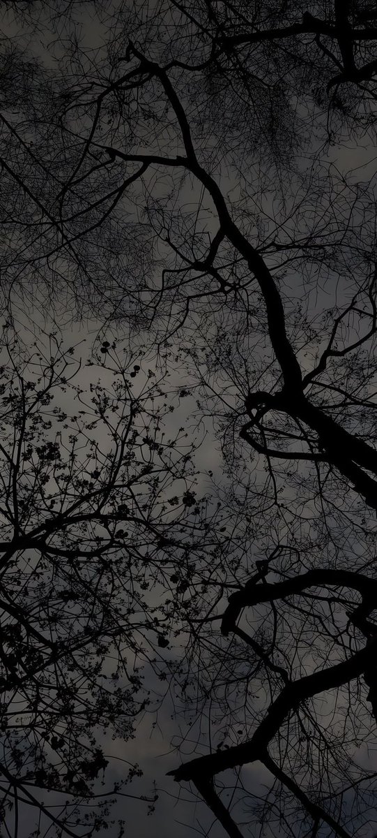 _☆Zarah_Spark☆_ tweet media