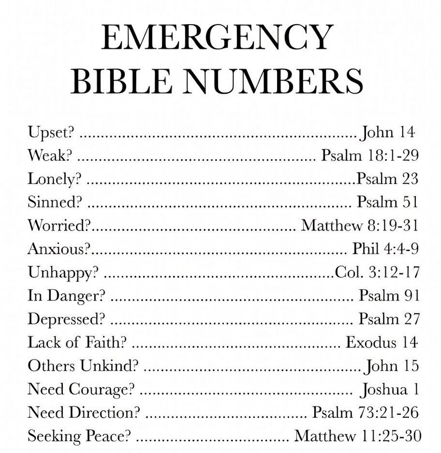 Bible 365 tweet media