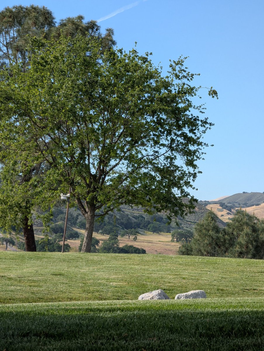 Joe Kiani tweet media