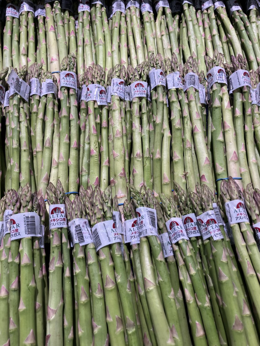 とりせん【公式】 tweet media