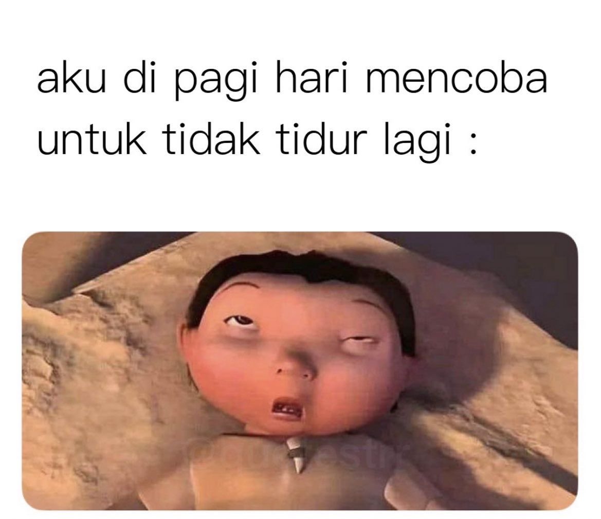 bu-na 姊姊 🌸 tweet media