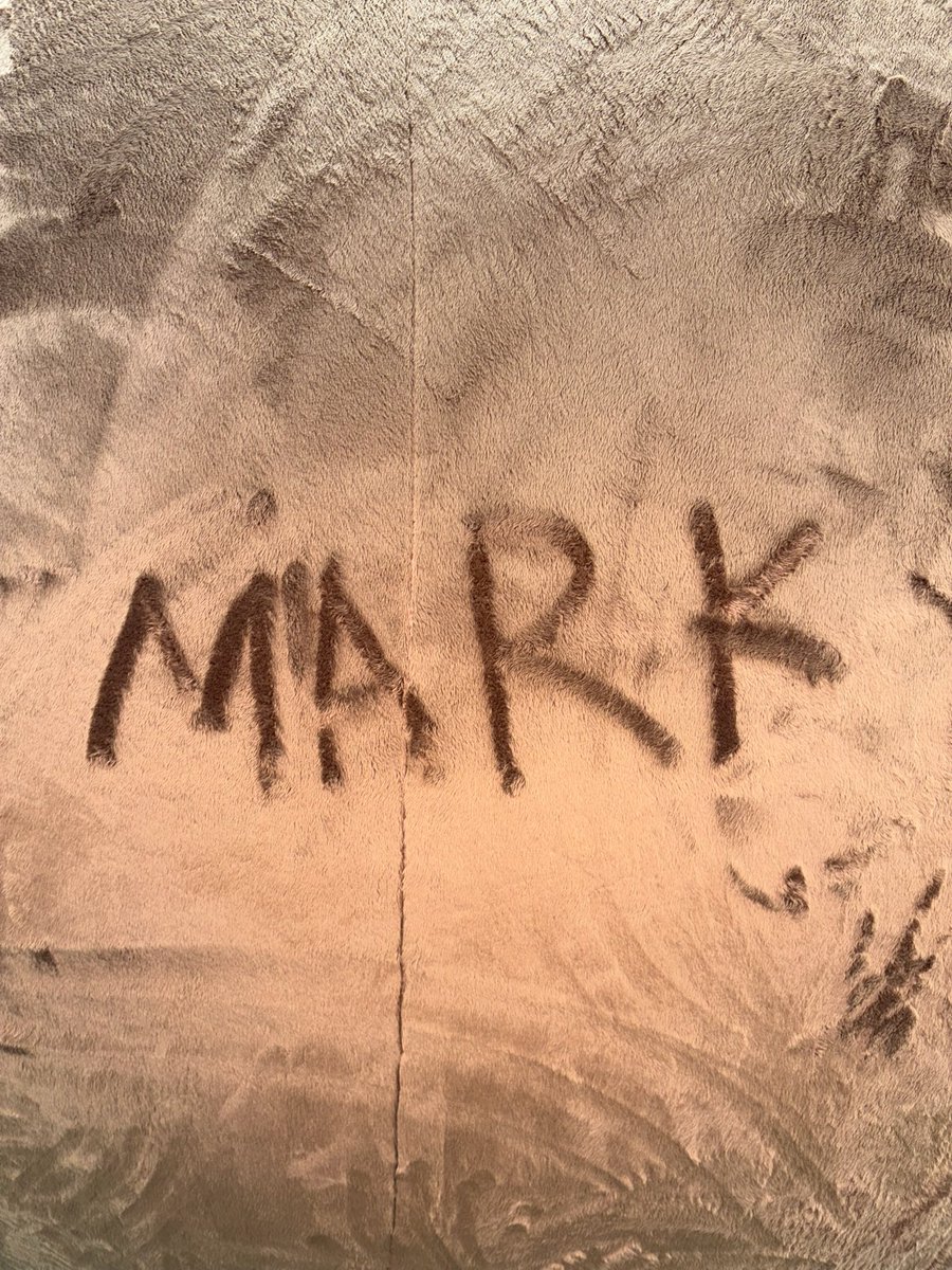 rest 바다 tweet media