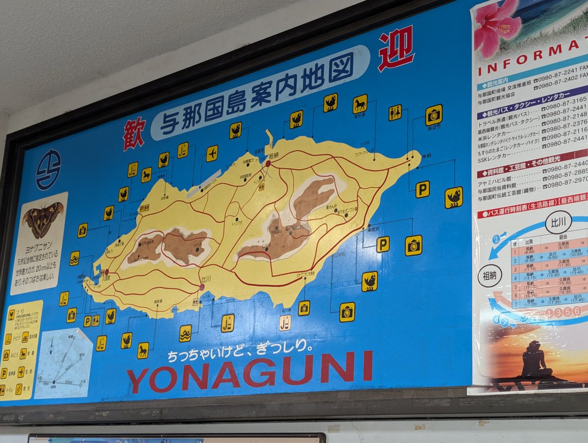 ノザマ@お星さまのお友達 tweet media