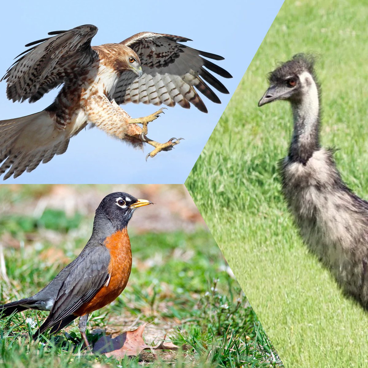 Bash🕷️ tweet media