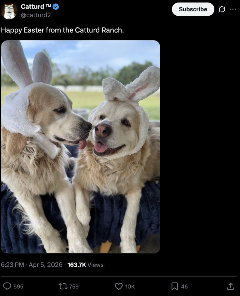 Nate Silver tweet media