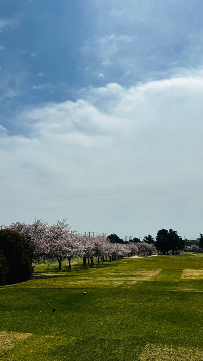 あらっち ⛳砂遊び tweet media