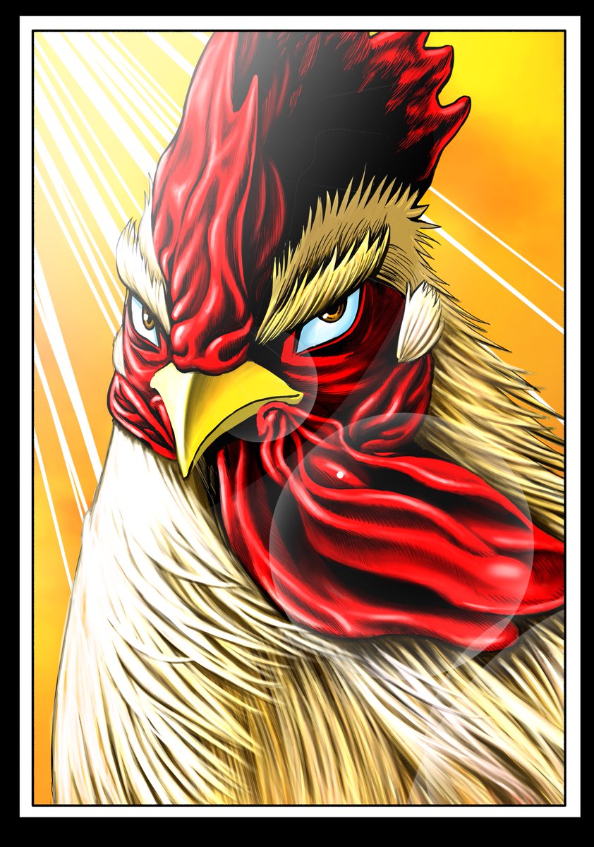 桜谷シュウ 『ニワトリ・ファイター』 Rooster Fighter 第12巻 ４月３日発売！！ tweet media