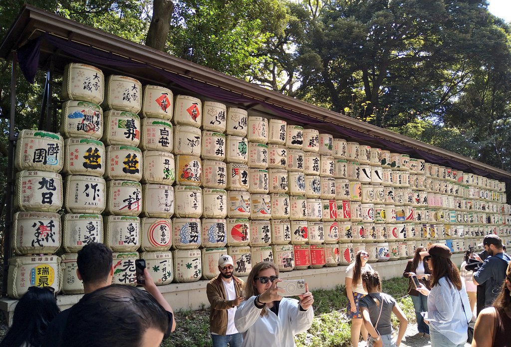 かずや(ポケットかずやネット) tweet media