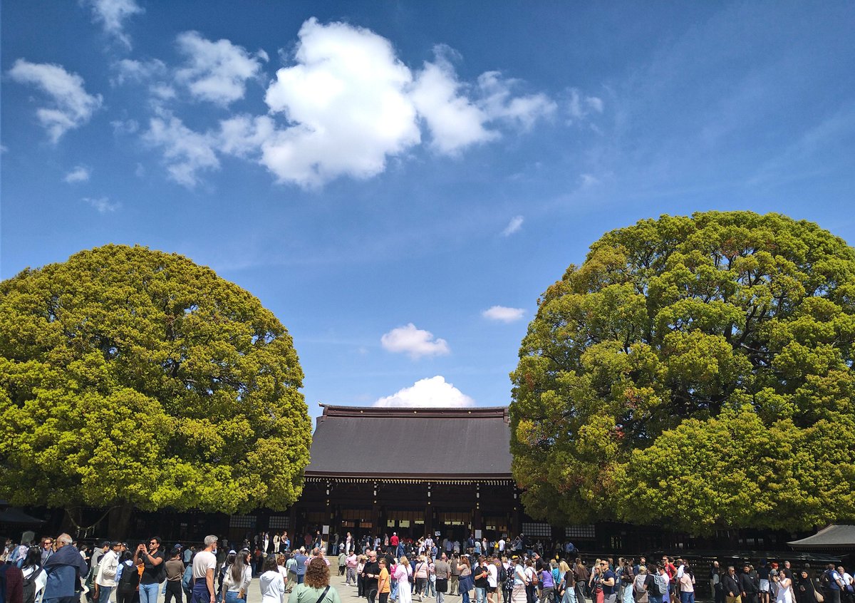 かずや(ポケットかずやネット) tweet media