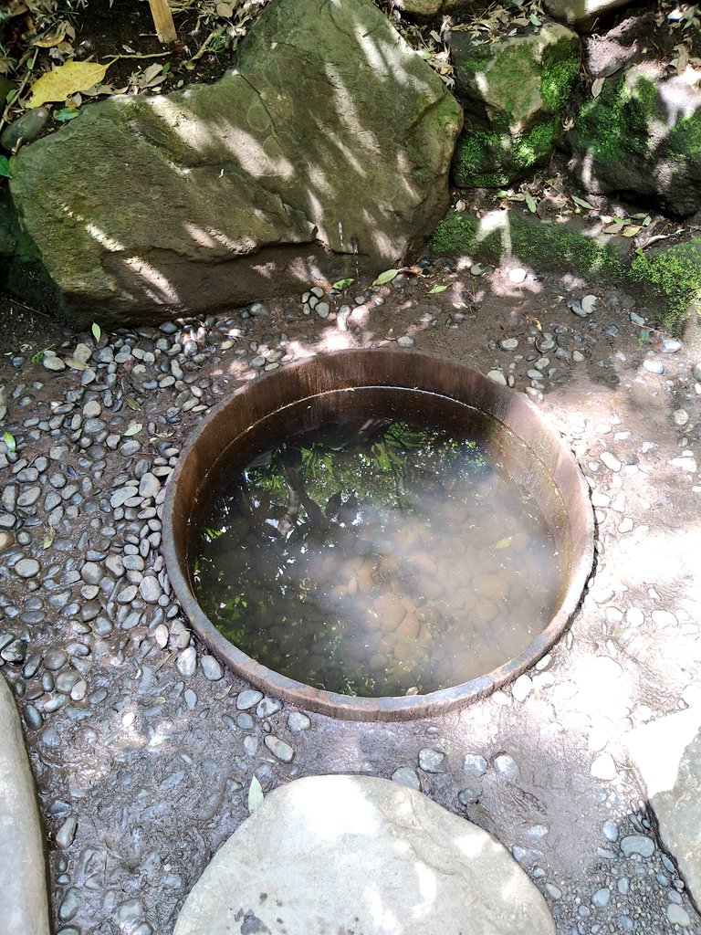 かずや(ポケットかずやネット) tweet media