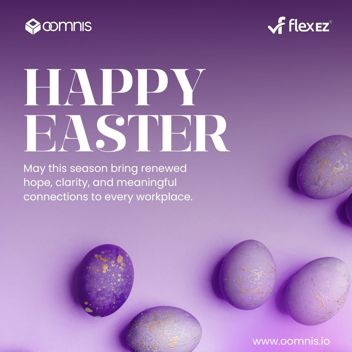 oomnis Limited tweet media