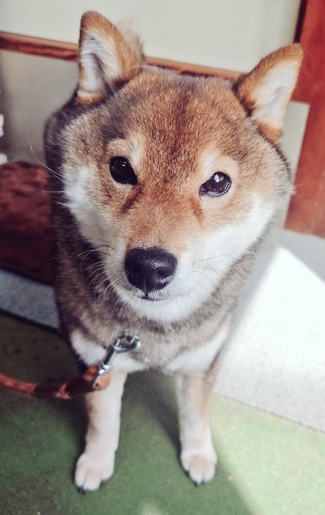 ｎｏｅ tweet media