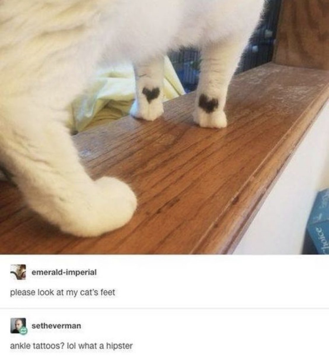 Respectful Memes tweet media