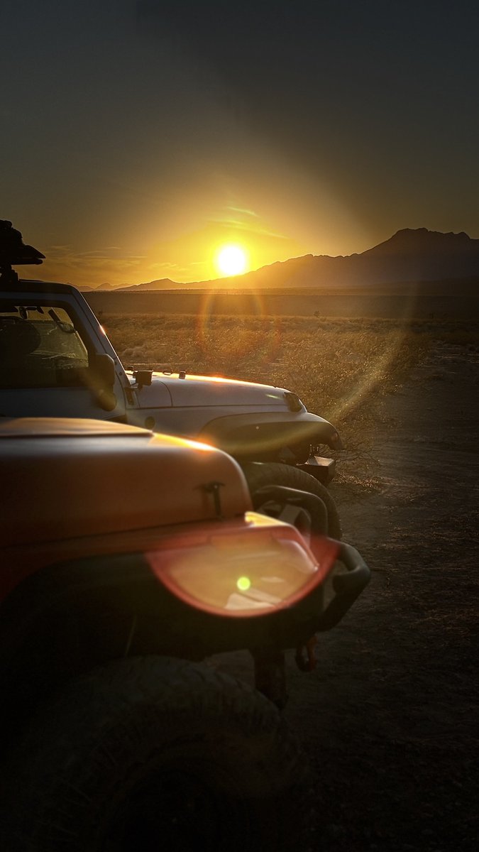 Wonder Wander Way tweet media