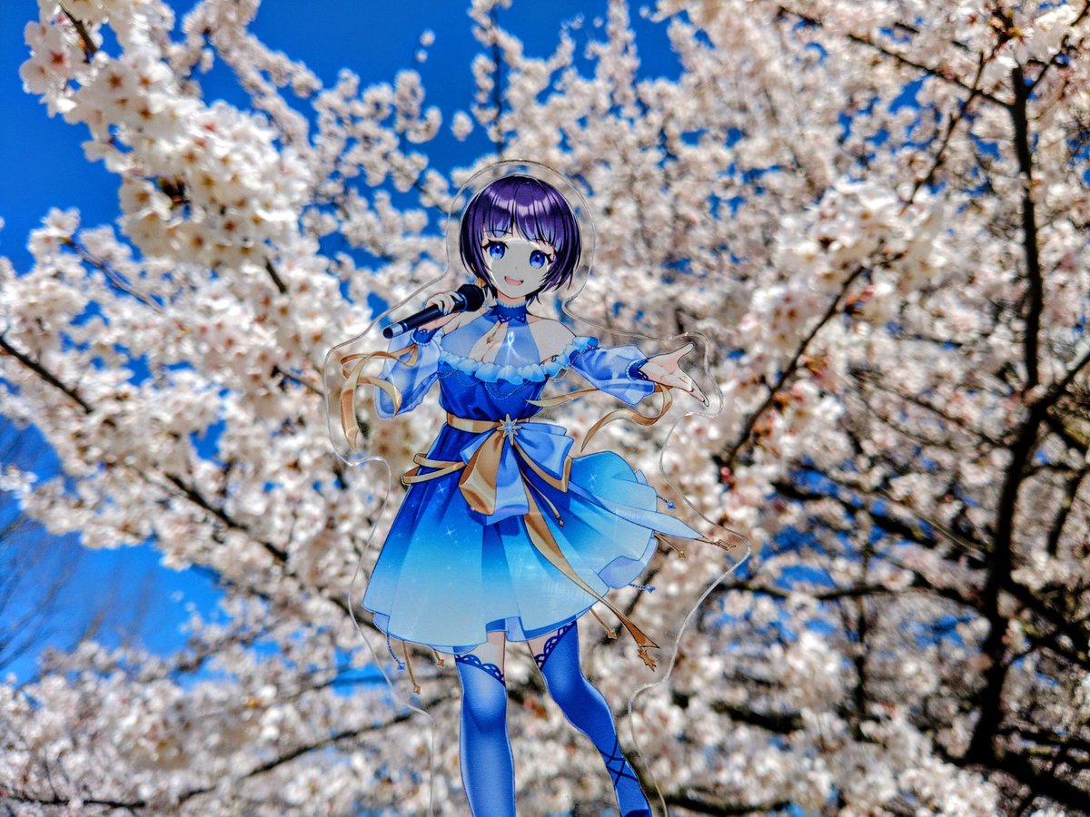 OYJ⭐🫧×🌌✦🎼 tweet media