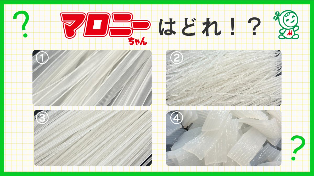 生マロニーちゃん公式 tweet media