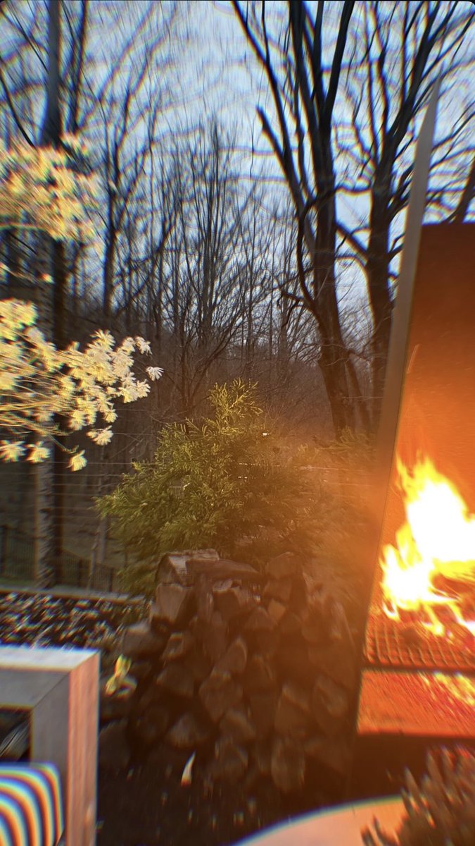 Gigi Hadid Argentina tweet media