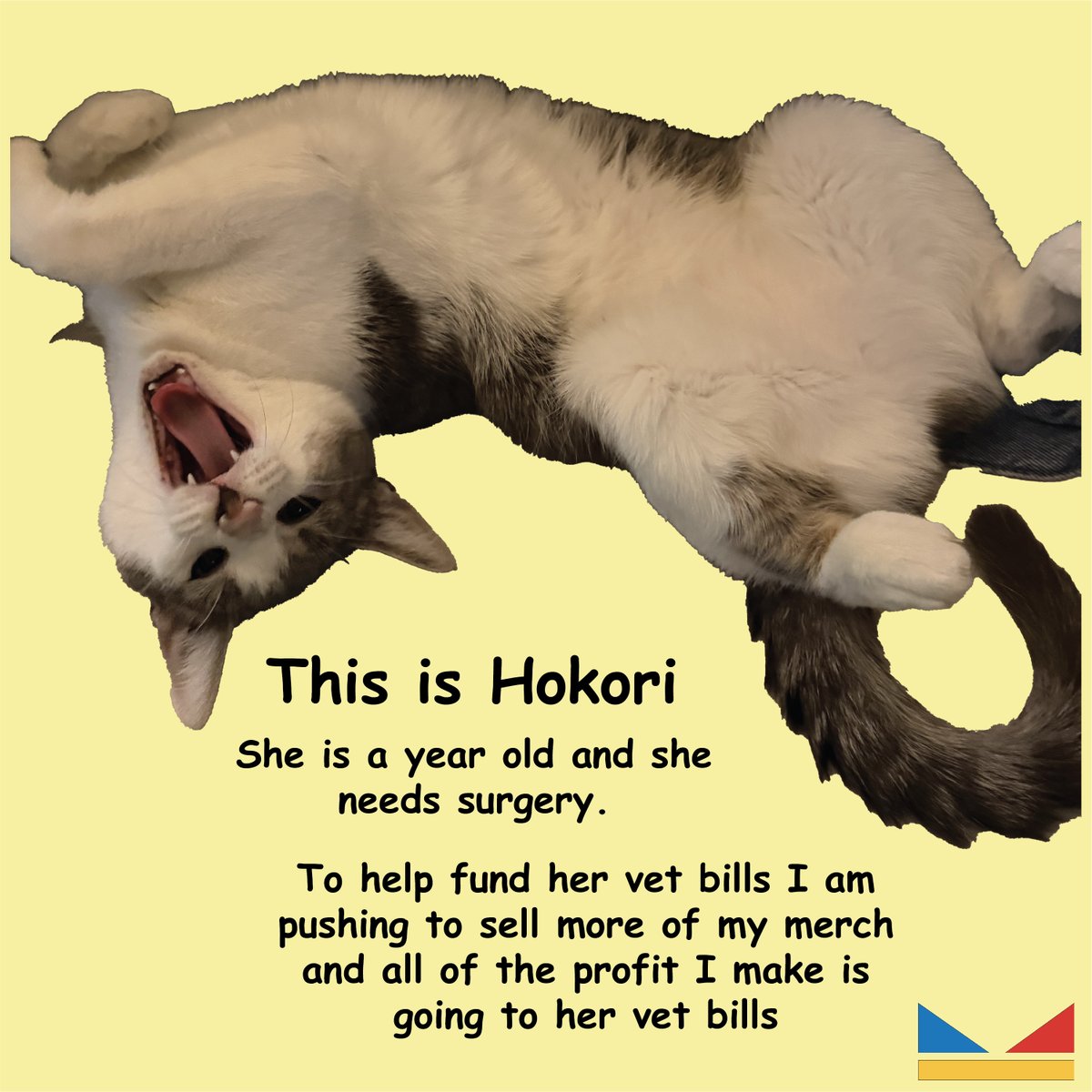 Kimtheintrovert 🫦🏁🪞👑⚔️ ᥫ᭡ tweet media