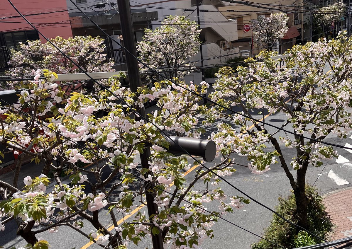 うまさんぽ展🐴 tweet media