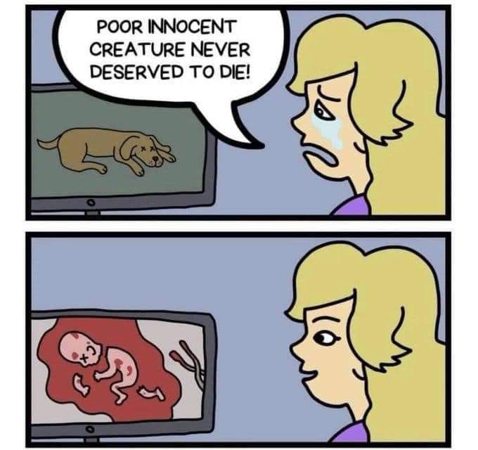 Women Being Awful tweet media