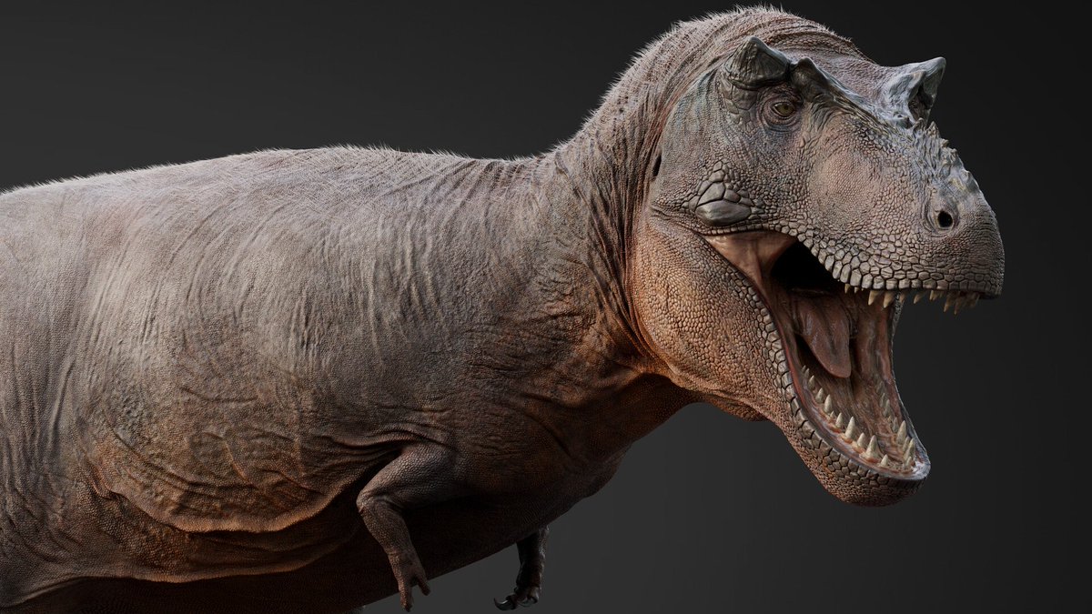 Punished Birdstang tweet media