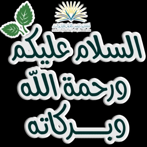 Umm e Rohaan tweet media